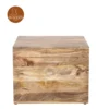 1 Binni Trunk Box (Natural Finish)