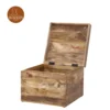 3 Binni Trunk Box (Natural Finish)